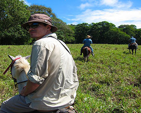 Edificio construction process