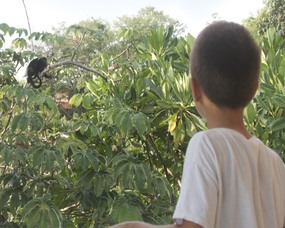 Construction in Nosara